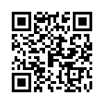 0873819004 QRCode