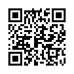 09110013101 QRCode