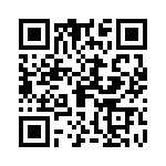 09142100313 QRCode