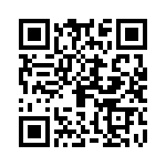 09185307803800 QRCode