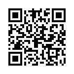 09185505911001 QRCode