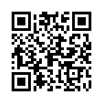 09195205323741 QRCode