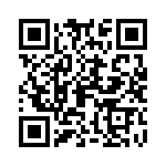 09195407903001 QRCode