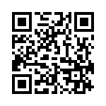 09200160291ML QRCode