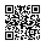 095131009100 QRCode