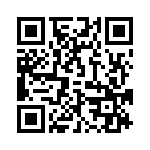 095131009103 QRCode