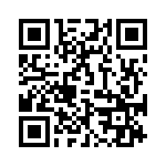 09513100931203 QRCode