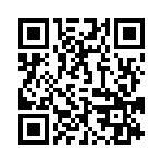 095136309112 QRCode