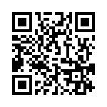 095136309311 QRCode