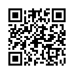 09551667811741 QRCode