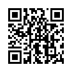 09553567621741 QRCode