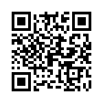 09575080501000 QRCode