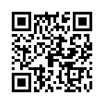 09620100541 QRCode