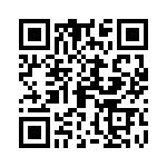 09691009013 QRCode