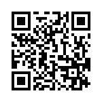 09691009033 QRCode