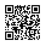 09691845200 QRCode