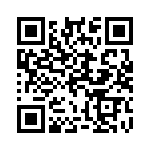 10-87320-29P QRCode