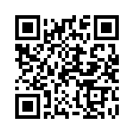 1003P1T1B3M3QE QRCode