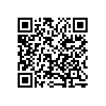 1003P3T7B13M2QE QRCode