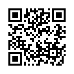 1004P3T1B1M2RE QRCode