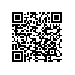 1004P3T8B13M1QE QRCode