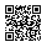 101075 QRCode