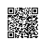 101C153U100EE2B QRCode