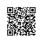 101C613U040BD2B QRCode