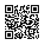 101TL2-31 QRCode