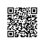 101X313U040CC2D QRCode