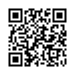 102S42E0R9BV4E QRCode