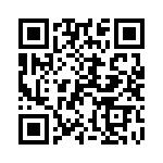 102S42E3R9BV4E QRCode