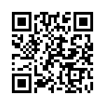 102S42E6R2BV4E QRCode