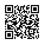 102S42E6R2DV4E QRCode