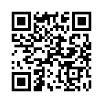 104319-2 QRCode