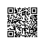 110-87-650-41-001101 QRCode