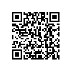 1111J2K06P80DQT QRCode