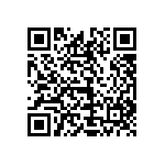 1111J2K0P300DQT QRCode