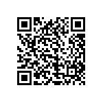 1111Y1K01P10DQT QRCode