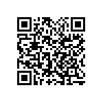 1111Y1K02P70BQT QRCode