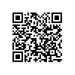 1111Y1K0P300CQT QRCode