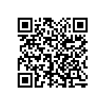 1111Y2002P40DQT QRCode