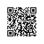 1111Y2004P00DQT QRCode