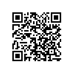 1111Y2500122GQT QRCode