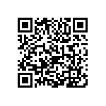 1111Y2501P80DQT QRCode