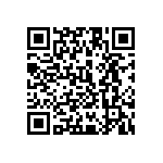 1111Y2505P60BQT QRCode