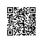 1111Y250P500HQT QRCode