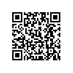 1111Y250P700HQT QRCode