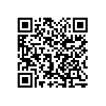 1111Y2K01P30BQT QRCode