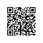 1111Y2K03P90DQT QRCode